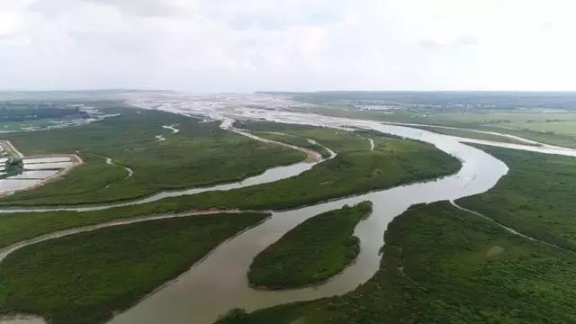 你了解东莞吗,廉江有什么