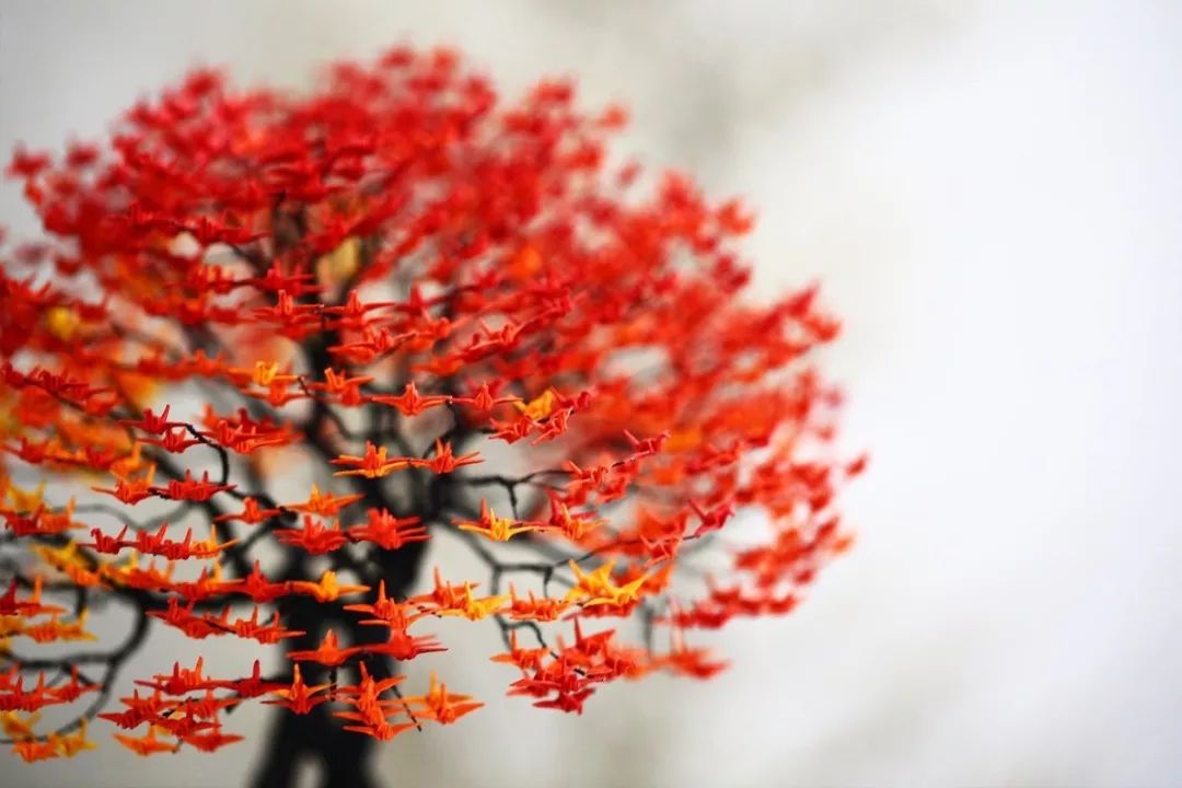 日本大师手工折纸,日本最顶级的折纸