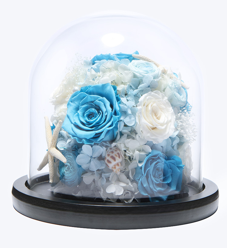 12星座女最喜欢什么花,追12星座女生送什么花