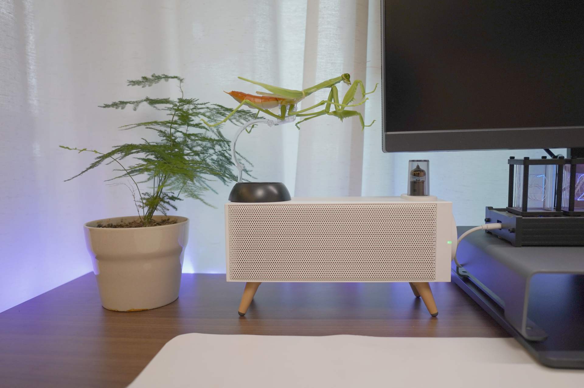 喜欢听歌的人，大多都是孤独的，盘点我手头的Music装备