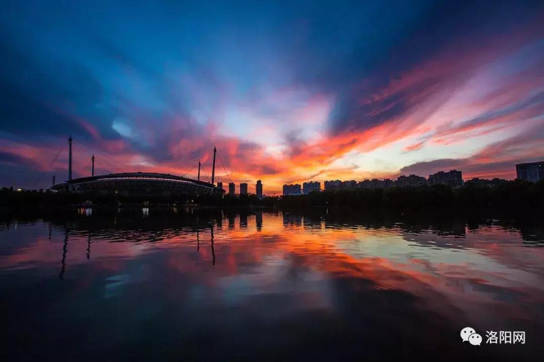 洛阳牡丹花会邀请,洛阳邀请全世界人民看牡丹