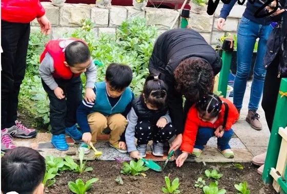 上海各区幼托班一览,上海浦东幼儿园托班学费多少