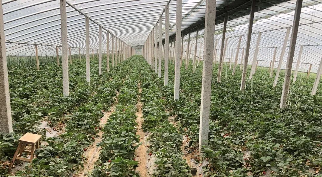 未来10年农村创业路子,农村挣钱门路现实点的