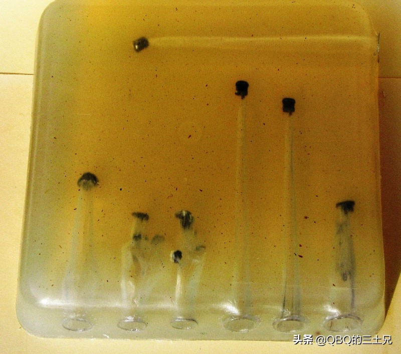 气枪铅弹长短影响命中精度吗,气枪的初速太低了子弹会下降吗