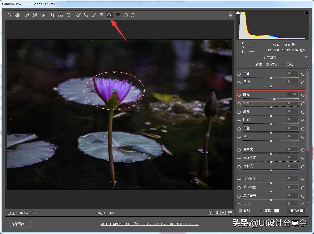 ps画意荷花如何调出洇染效果,ps荷花多重曝光的后期调色教程