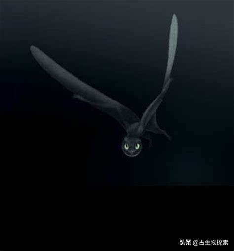 缈奸緳鍊掓寕鍗婄┖,缈奸緳鍊掓寕