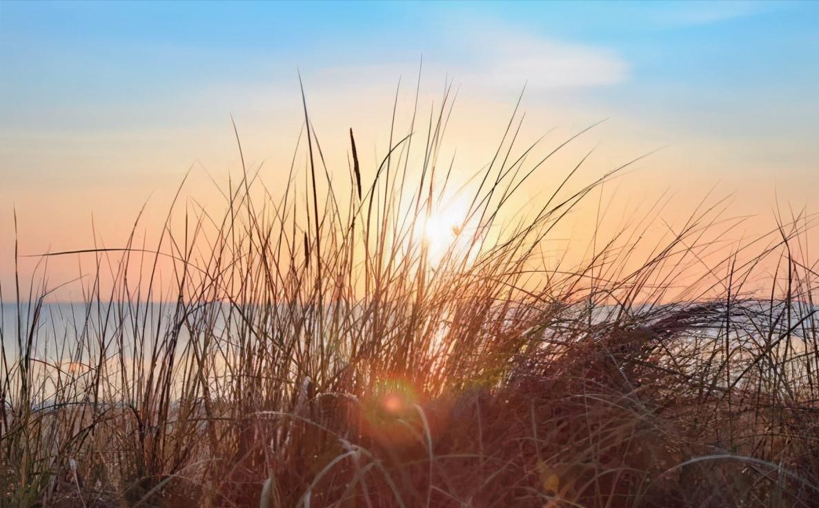 五种迹象表明情商高的人,情商高的人看你的五大特征