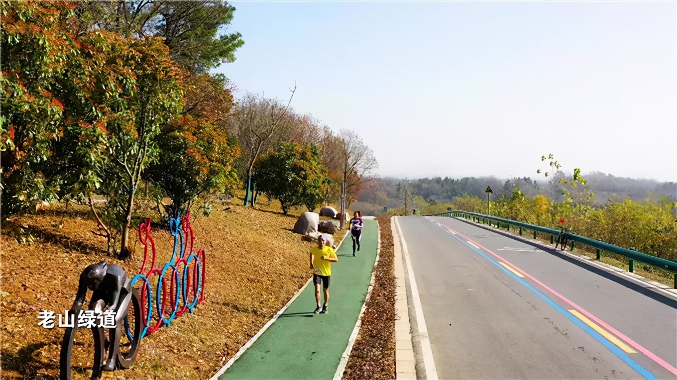 藏不住了是什么梗,藏不住了武清宝藏赏荷地全公开