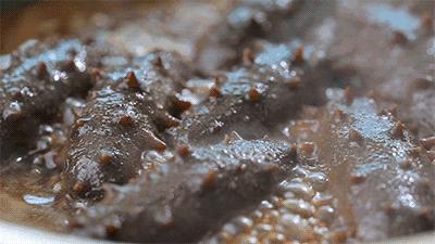 天价海参是不是骗人的,天价海参可靠吗