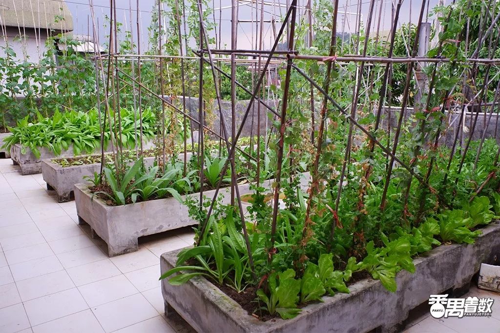 住在番禺的人的感受,在广州番禺区居住怎么样