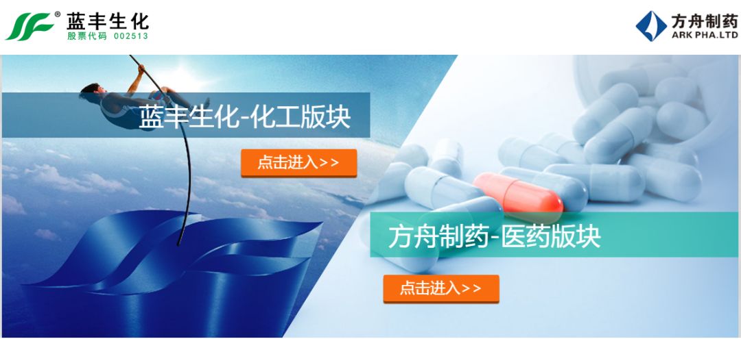 蓝丰生化资产,蓝丰生化的十大股东