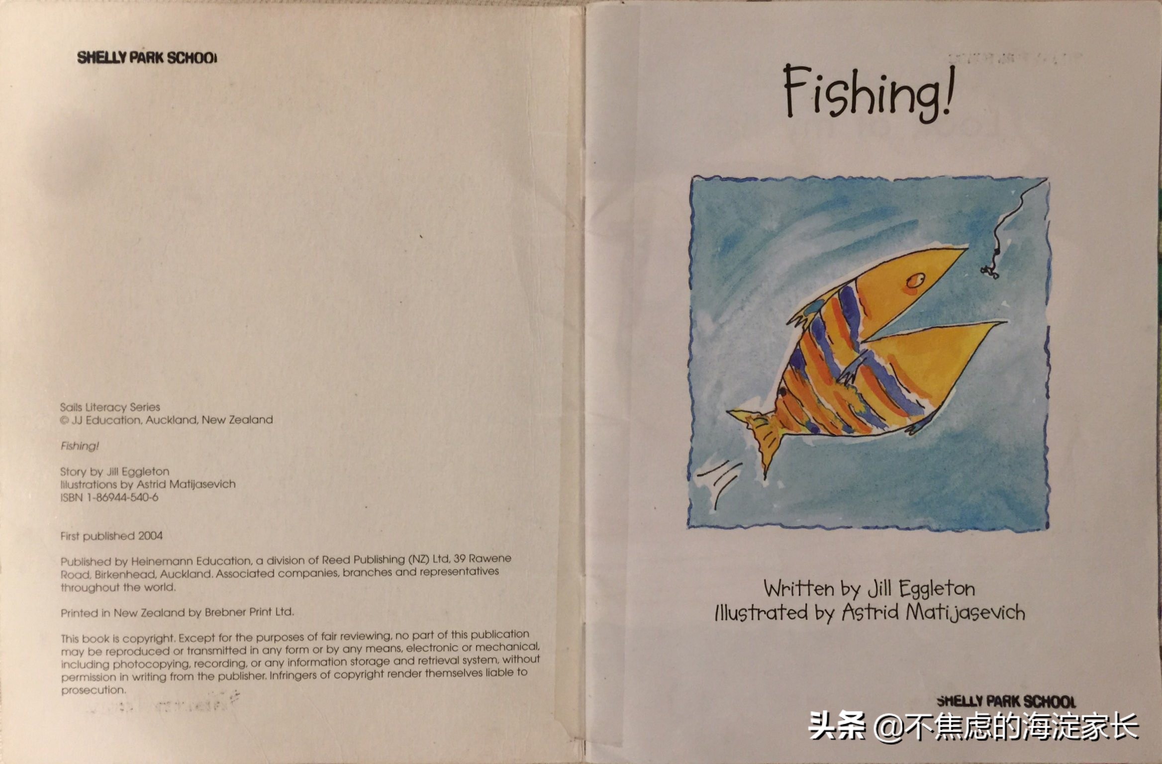 新西兰小学生阅读书单排名,新西兰小学二年级课后读物