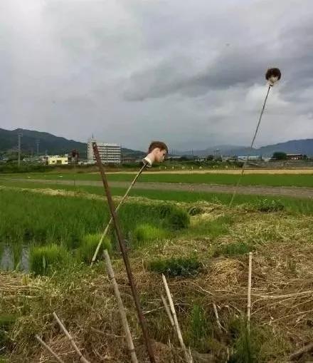 日本有个村庄全是人偶,日本旅游娃娃村