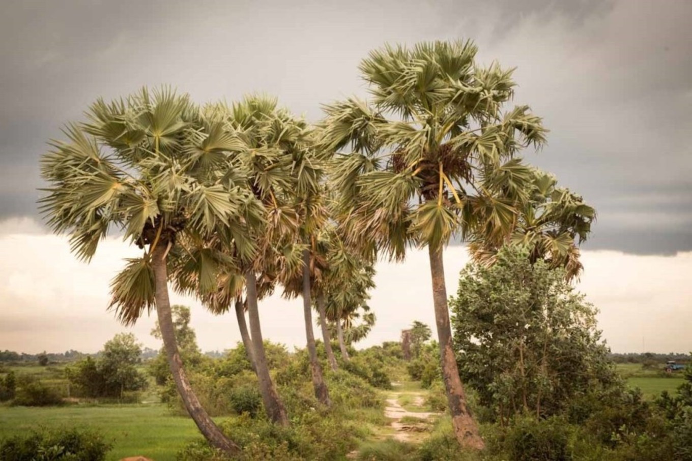 柬埔寨购物必买化妆品清单,柬埔寨暹粒免税店必买清单
