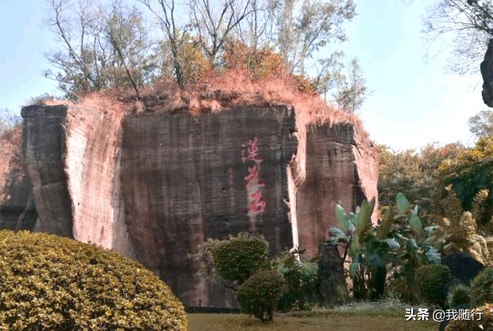 广州莲花山自驾游攻略,临夏莲花山旅游攻略自驾