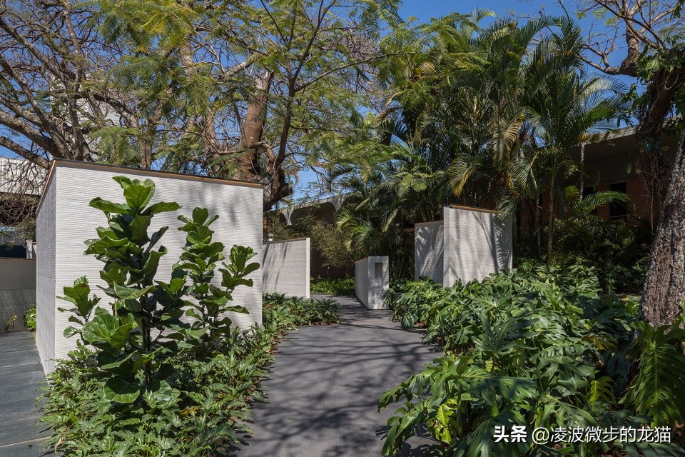 景观道路设计图片,一条景观路设计图片