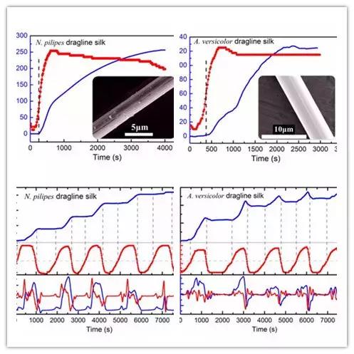 4月纺织黑科技|这些纺织前沿科技超乎想象!智能纱线……