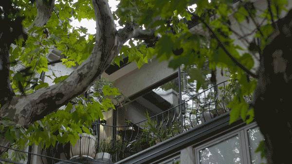 外国夫妻住老洋房,跨国夫妻住200平