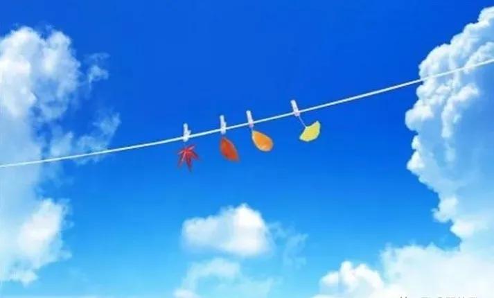 你见过这样的晾衣绳吗,晾衣绳实用吗