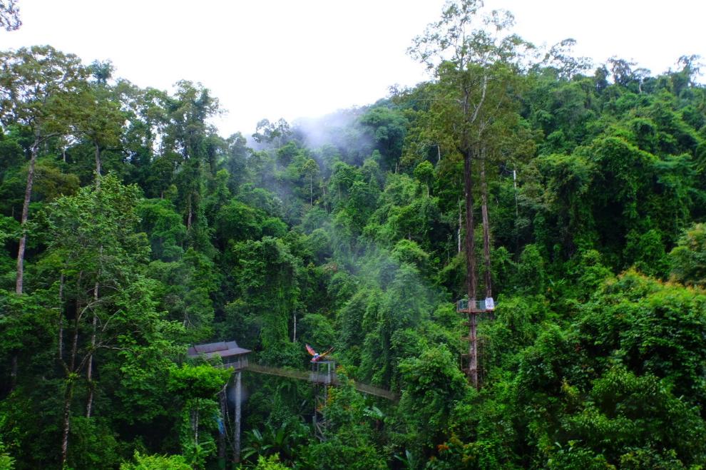 美丽云南神奇西双版纳,柔情傣乡美丽的西双版纳
