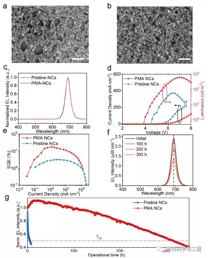 香港大学高温合金,香港大学钙钛矿