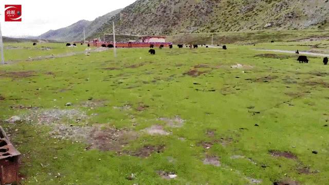 海拔4000米干工程,海拔4000米的施工队