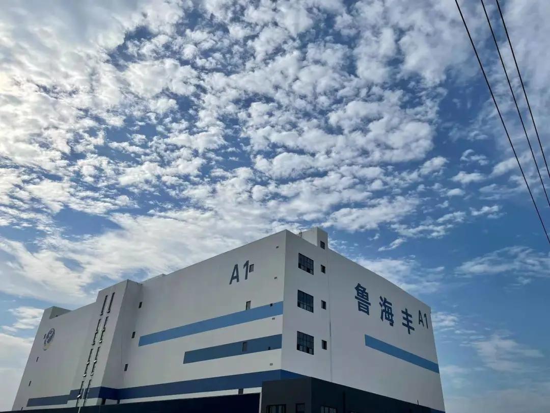 中建八局目前开展的重点项目,中建八局大项目进度计划表