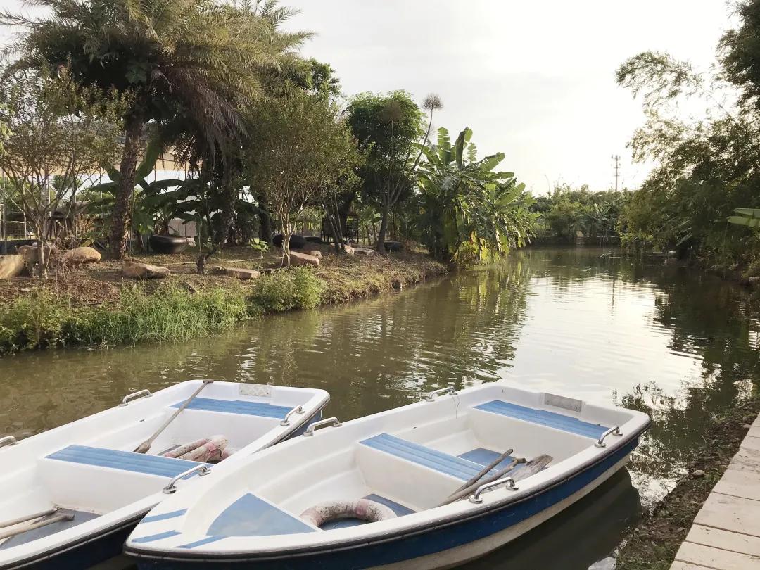 广东十大亲子农场,陈村亲子农场推荐