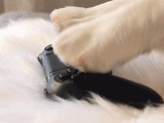 俄罗斯方块消除致童年,类似俄罗斯方块的消除游戏