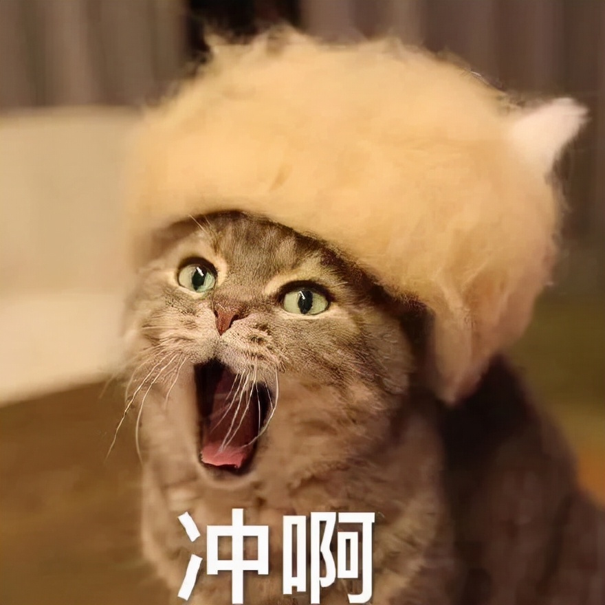 中金校招目标学校,中金公司2024校招学校名单