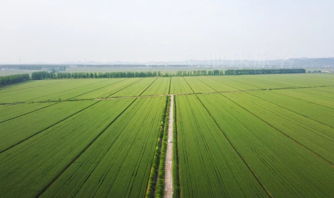 安徽寿县老城墙历史,安徽寿县千年古城