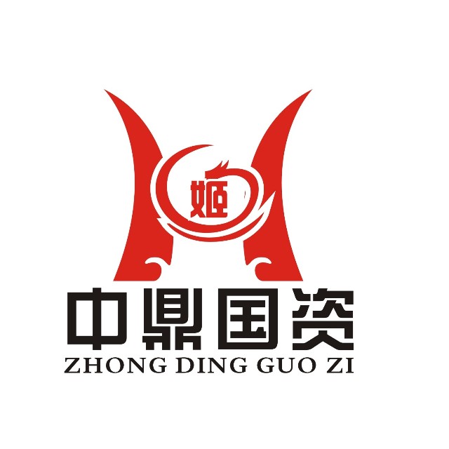 涓紟鍥借祫,涓紟璇佸埜