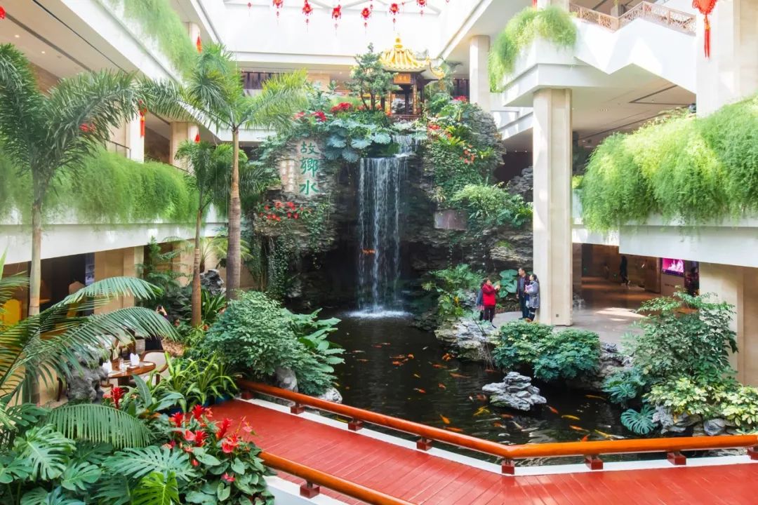 广州最新疫情禁止堂食政策,广州黄埔疫情暂停堂食最新通告