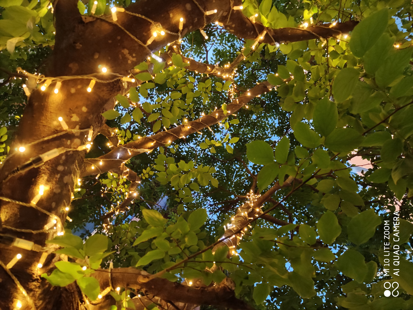 小米10青春版详细测评,小米10青春版测评刺激战场