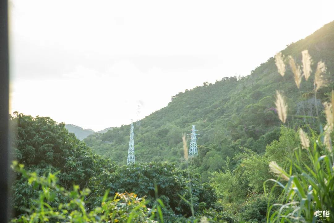 深圳梅林水库有山溪吗,深圳梅林水库在哪个区