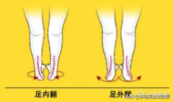 站斜板真的能纠正足内翻,矫正足内翻训练
