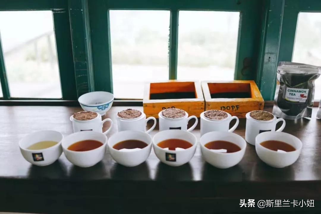 斯里兰卡带孩子游玩,斯里兰卡安缦