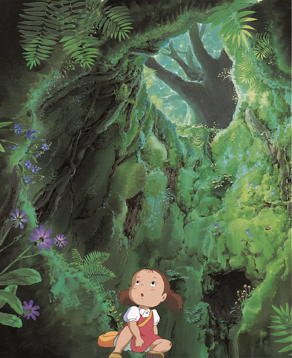 龙猫绘本新版本 (龙猫绘本最新消息)