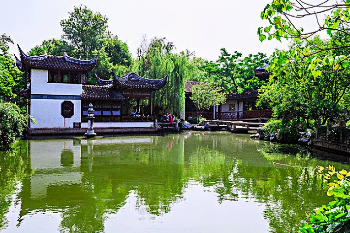 苏州最孤独的树夜景,苏州最孤独的树地址