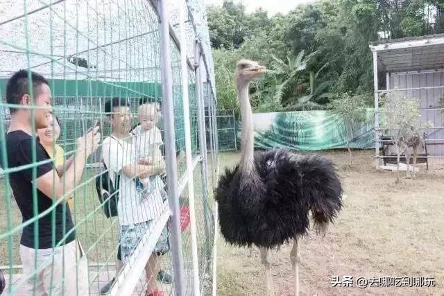 69.9抢惠州罗浮山漂流门票89元抢漂流门票+空中田园