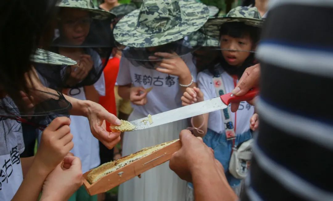 组图：武平县琴韵古筝行六一暨周年庆亲子活动圆满举行