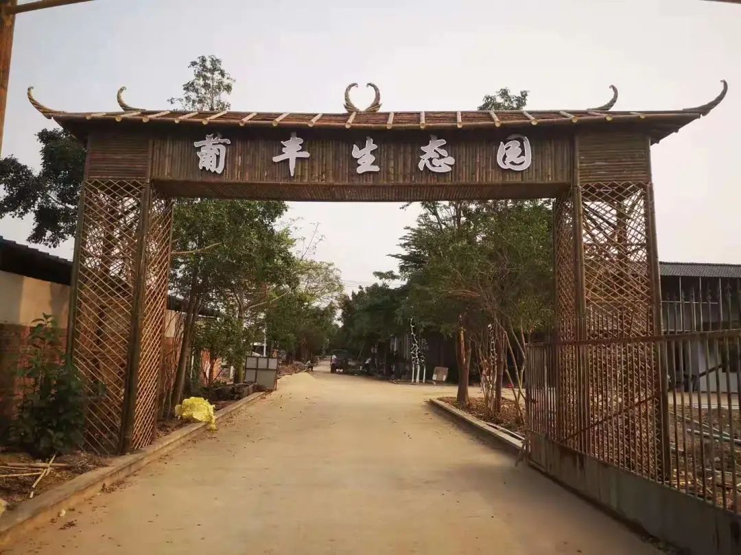 清远冬季水果,清远冬季水果采摘