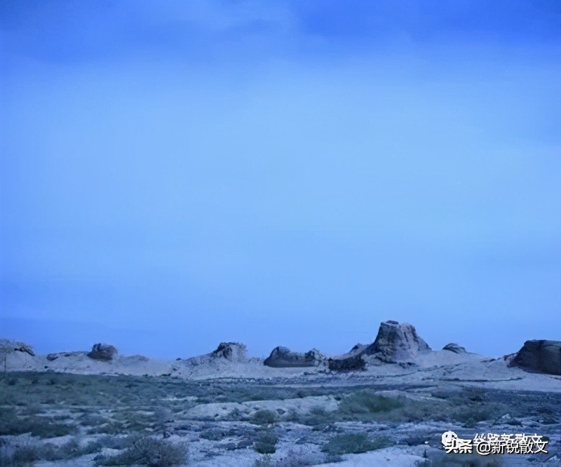 那天中午,踏踏实实做了一回闲人,把这些年欠下的阳光全找回来了