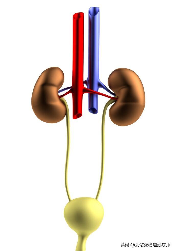 女性漏尿很严重是什么原因造成的,女性漏尿的原因及解决办法