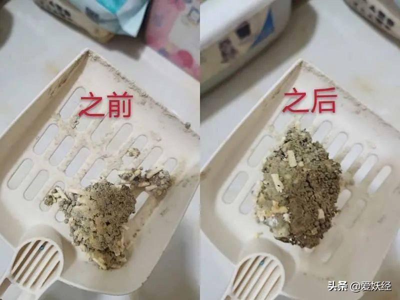 reddog红狗羊奶粉测评,红狗狗狗羊奶粉测评