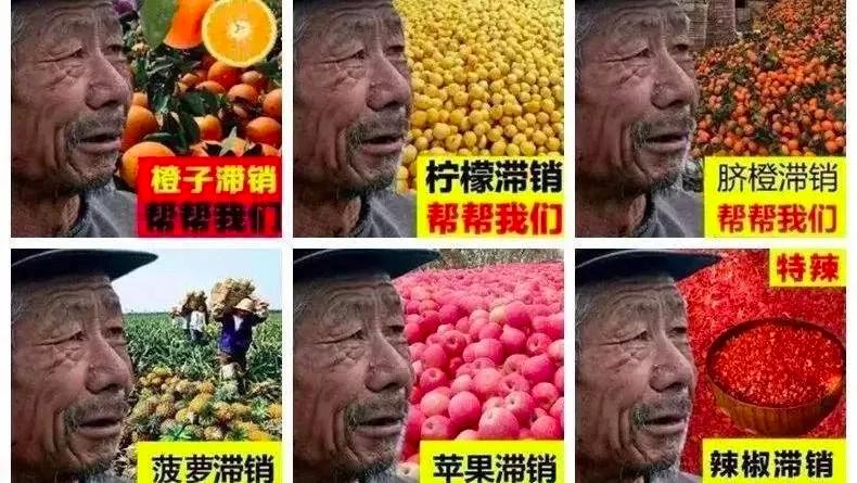 这些咨询公司也太离谱了吧