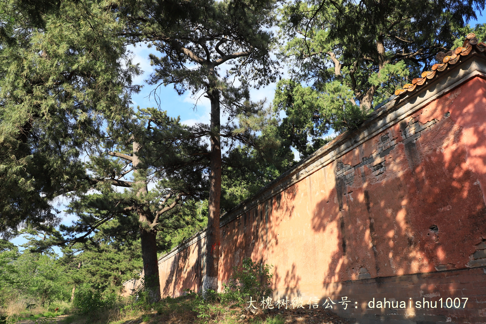 嘉靖陵墓永陵和永乐大典,明朝十三陵之永陵