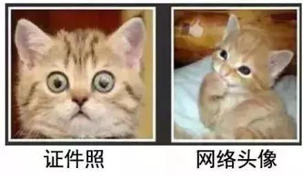 身份证回执太丑可以重拍吗,嫌身份证照片太丑