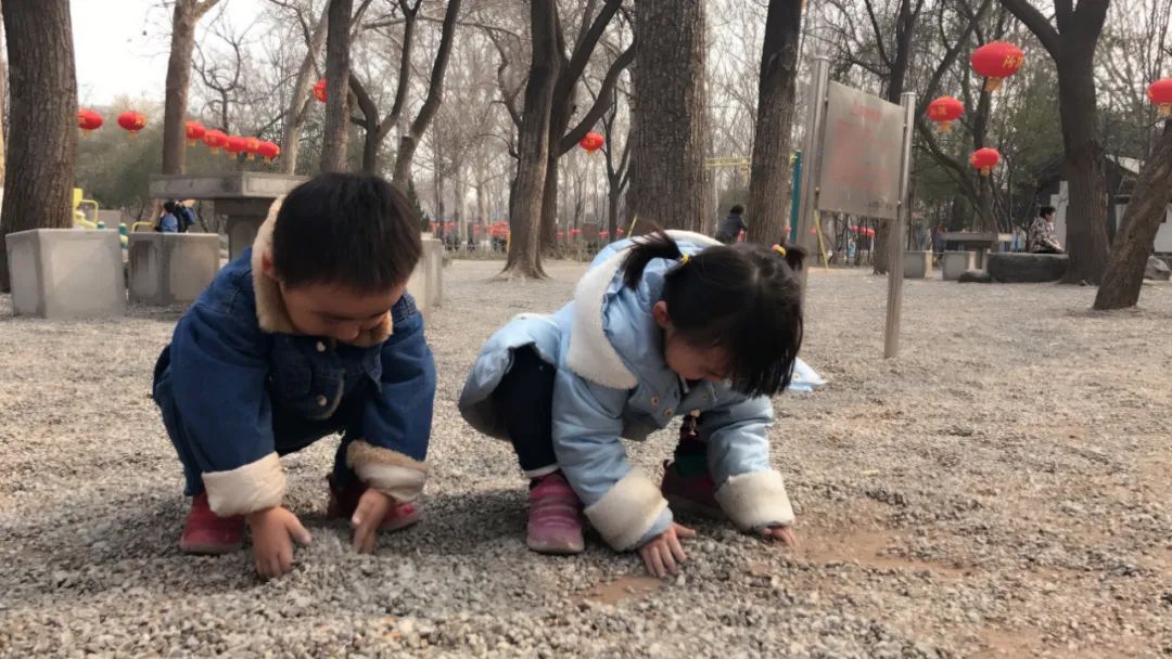 济南动物王国一日游详细攻略,济南一日游动物园