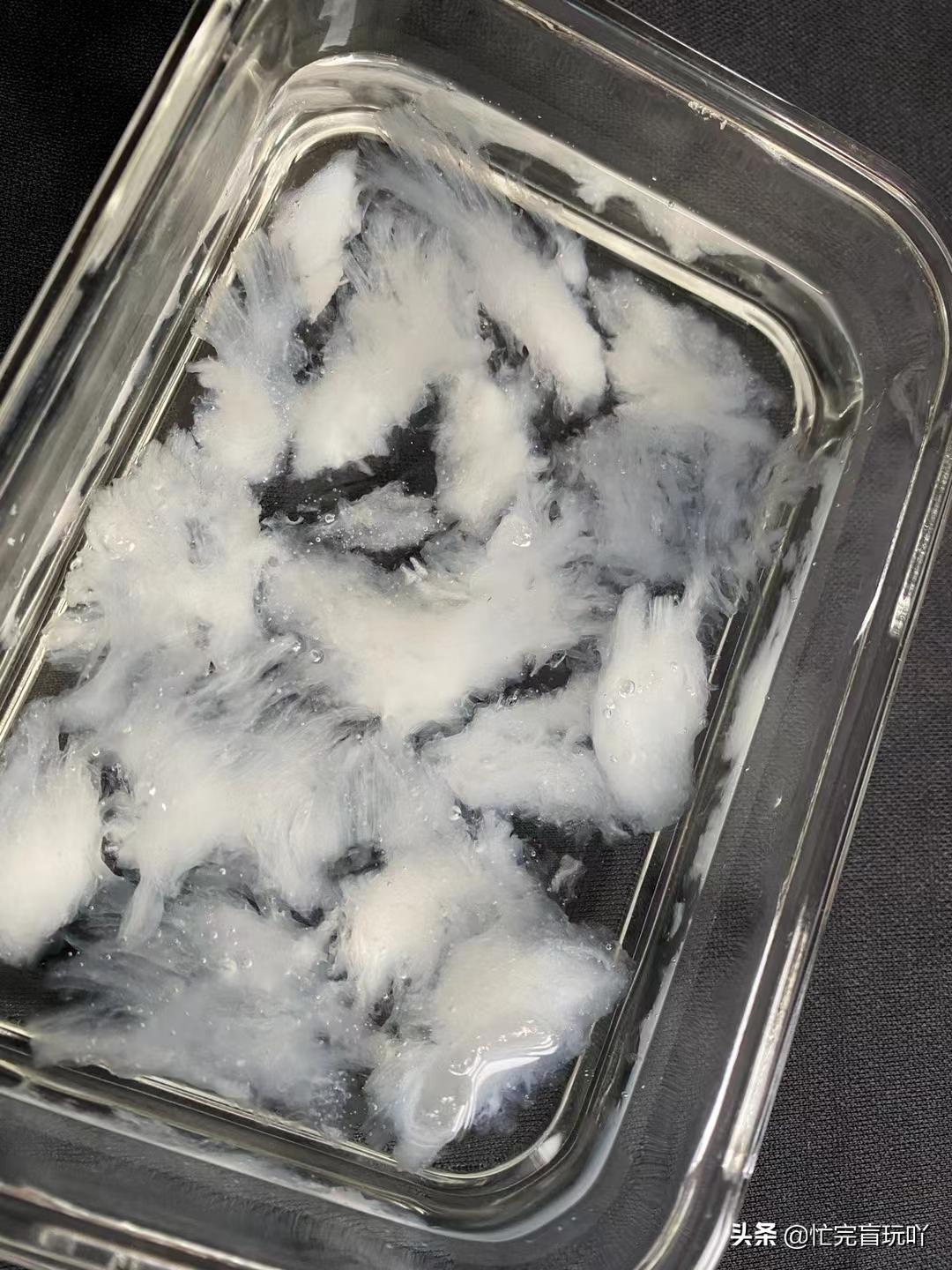 燕窝怎么吃清润,燕窝怎么吃才能营养最大化呢